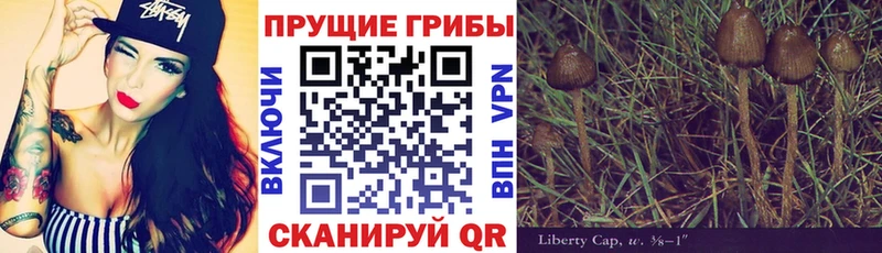 Псилоцибиновые грибы Magic Shrooms  площадка телеграм  Буйнакск 